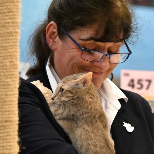 A judge and a cat sharing a moment :)